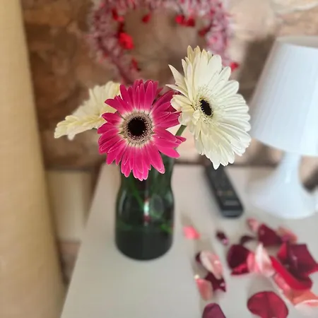 El Refugio Portales * Arucas